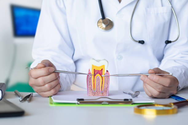 Best Cosmetic Emergency Dentistry in Breezy Point, MN